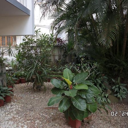 Sandra'S Home Kochi Exteriér fotografie